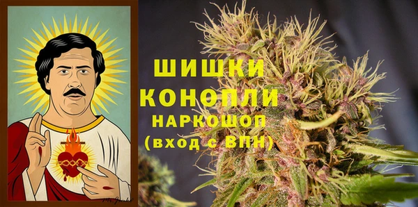 мдпв Елабуга