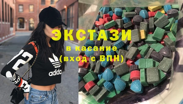 мдпв Елабуга