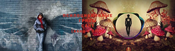 мдпв Елабуга