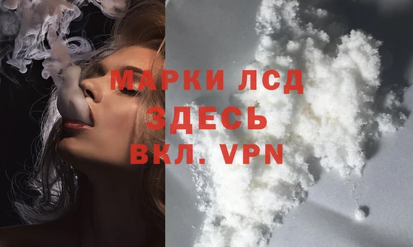 эйфоретик Елизово