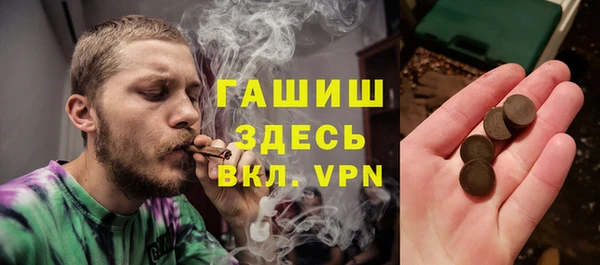 мдпв Елабуга